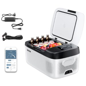 Glacière Électrique 15L – Frigo Portable -20°C